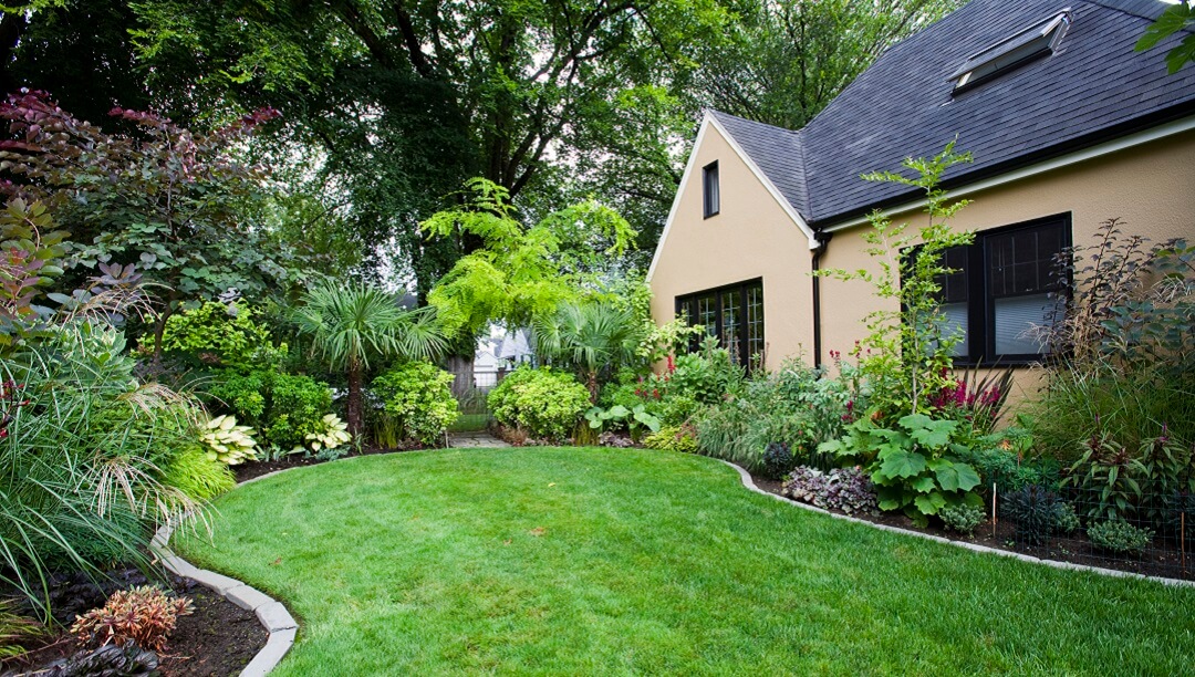 Big house with yard